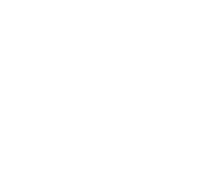 Network and Setup service icon